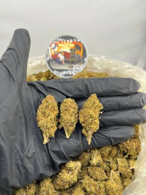 photo_2025-04-10_12-02-26 Pink lady lows