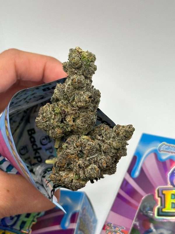 BackPackBoys | Crunch Berries